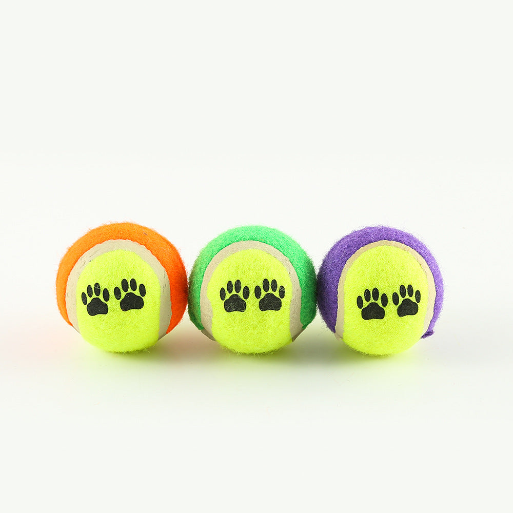 Fetch Master Dog Training Toy