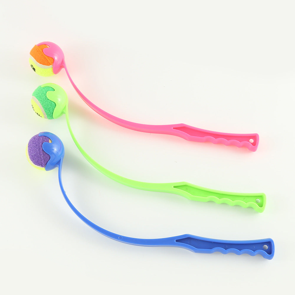 Fetch Master Dog Training Toy
