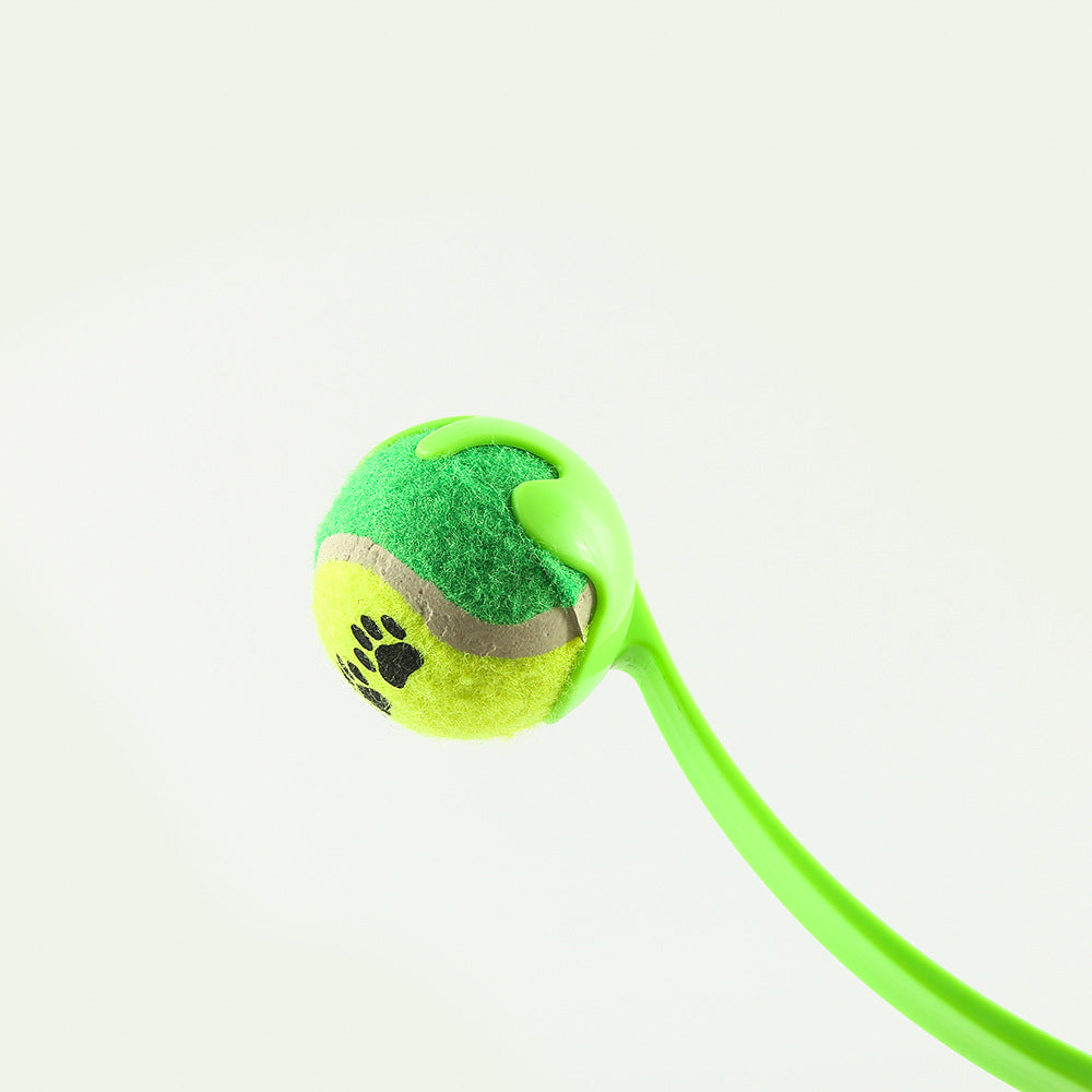 Fetch Master Dog Training Toy